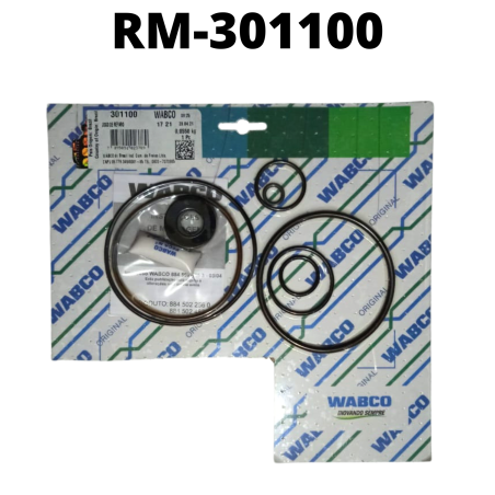 RM-301100