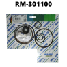 RM-301100