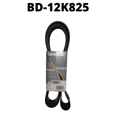 BD-12K825