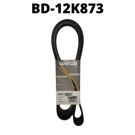 BD-12K873
