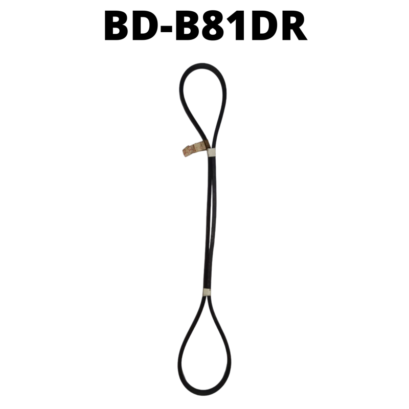 BD-B81DR